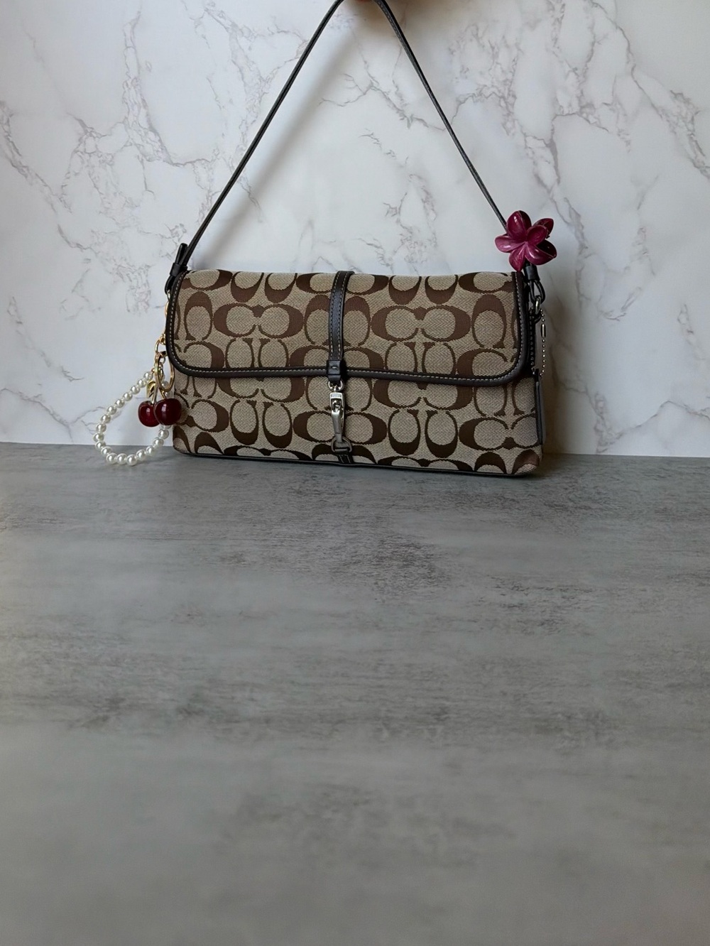 Brown Coach Hampton Clip Signature Shoulder Bag